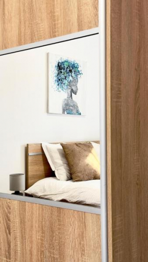 Phoenix Central Apartments Sibiu